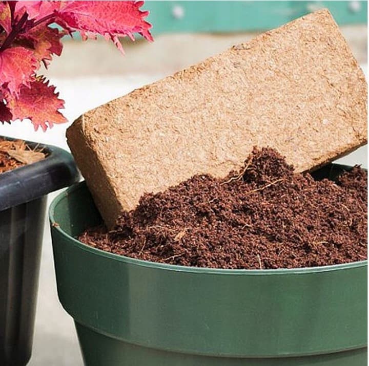 CocoPlant™ - lepsze ukorzenienie i szybszy rozwój roślin